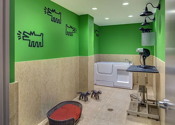 Rented by Halcyon Management Group LLC | media 68