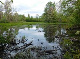 Potter Rd, Bear Lake, MI 49614