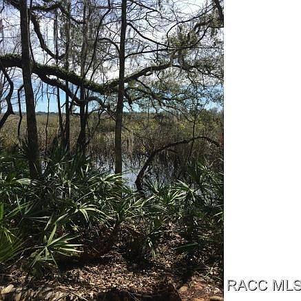 2nd image of 9782 E Tuliptree Dr