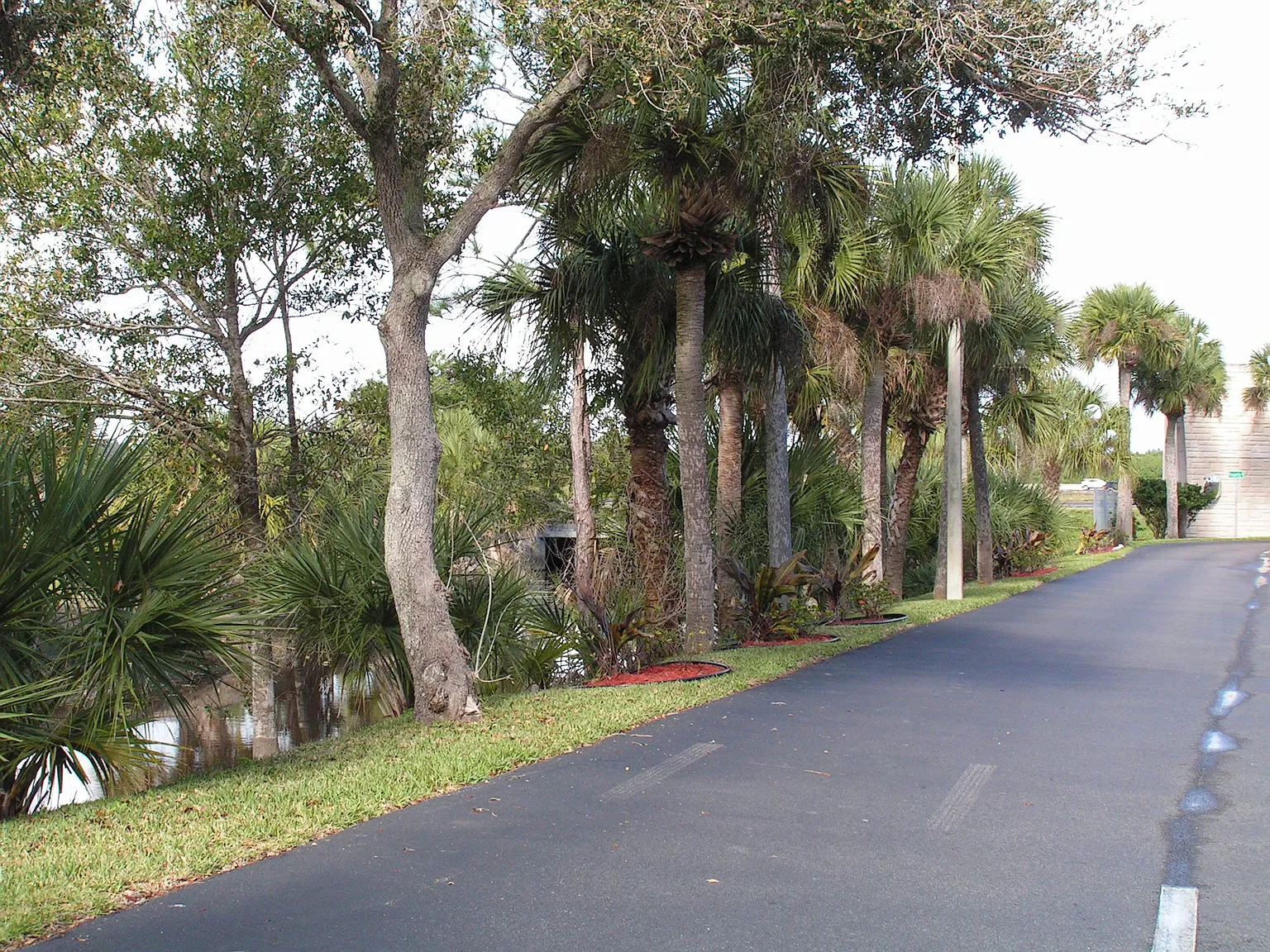 2 bed, 1000 sqft, $1,600 — Photo 3