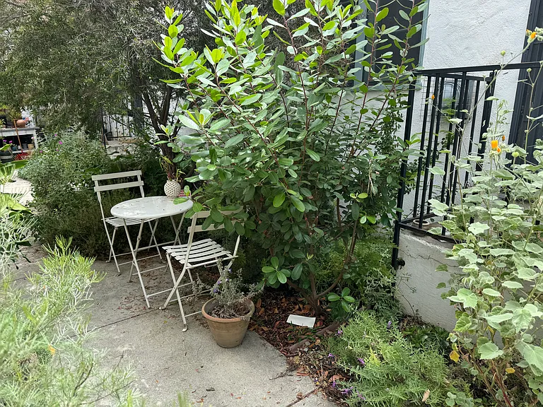 1616 1/4 Silver Lake Blvd — Photo 3