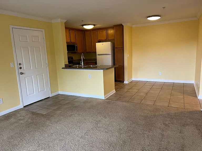 1023 Vista Del Cerro Dr #203 — Photo 8