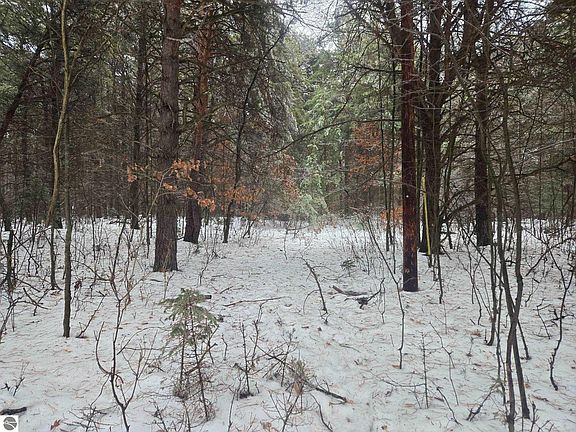 3rd image of 0 S Dickerson Rd