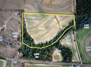 20.33 Ac Sewell Rd, Cottonwood, AL 36320