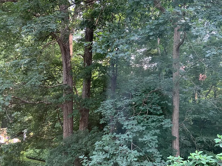 4618 Briar Patch Ct — Photo 23