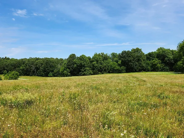 Lot 10 N Farm Road 61, Walnut Grove, MO 65770