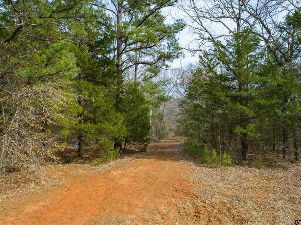County Road 4917, Ben Wheeler, TX 75754