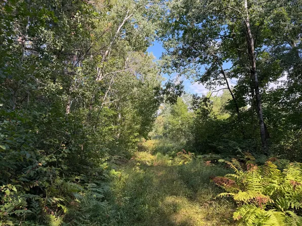 Klice Rd, Willow River, MN 55795