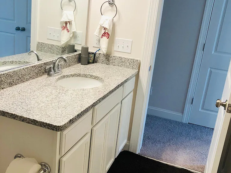 163 Mayfield Crossing Ln — Photo 11