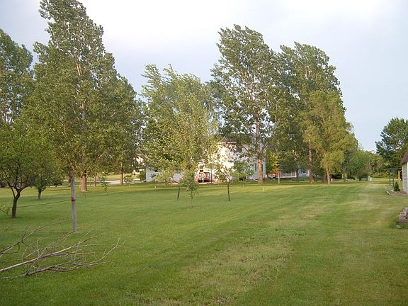 Summer '06- Back yard