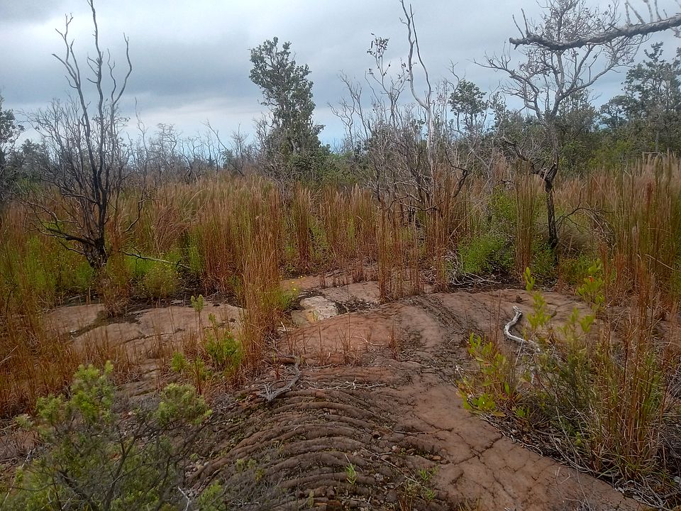 1st image of Cocoanut Dr Lot 6