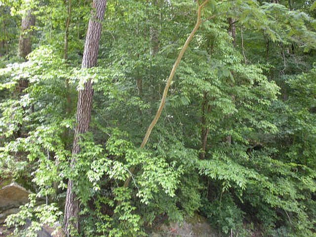 2nd image of 3869 Teesdale Ct