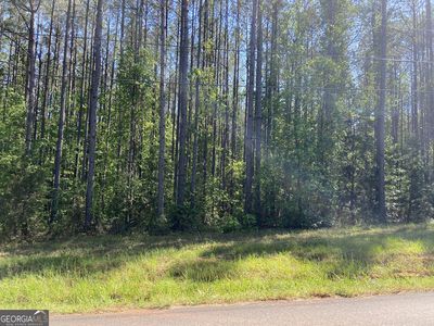 711 McCommon Rd, Forsyth, GA, 31029
