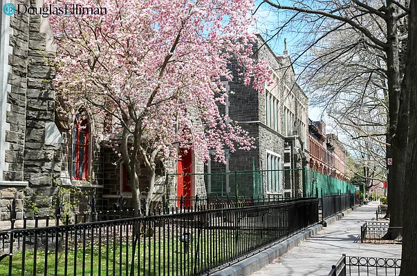 Rented by Douglas Elliman | media 21