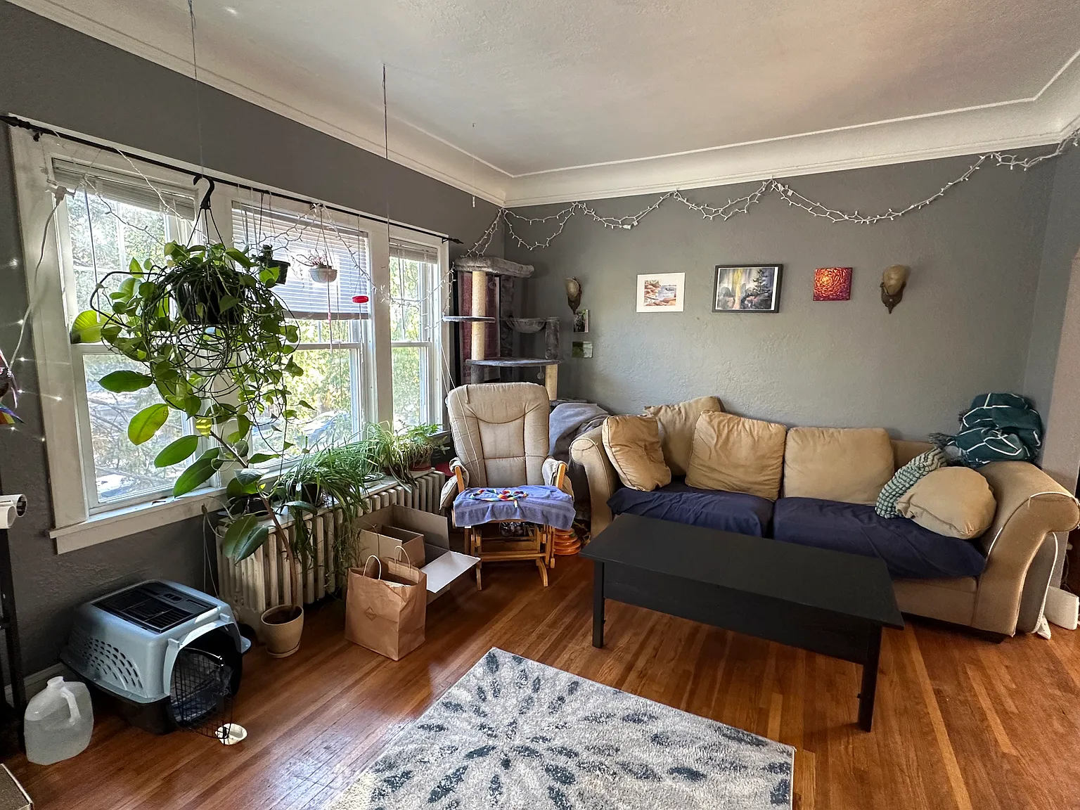 2 bed, 1200 sqft, $1,450 — Photo 4
