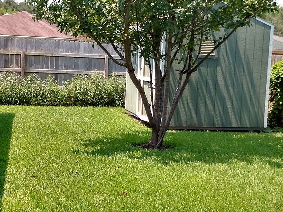 Backyard Shed
