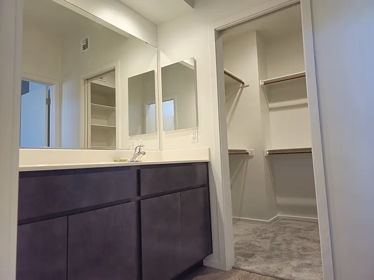 big sink area in the ensuite bathroom