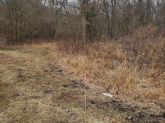 Property marker by the road