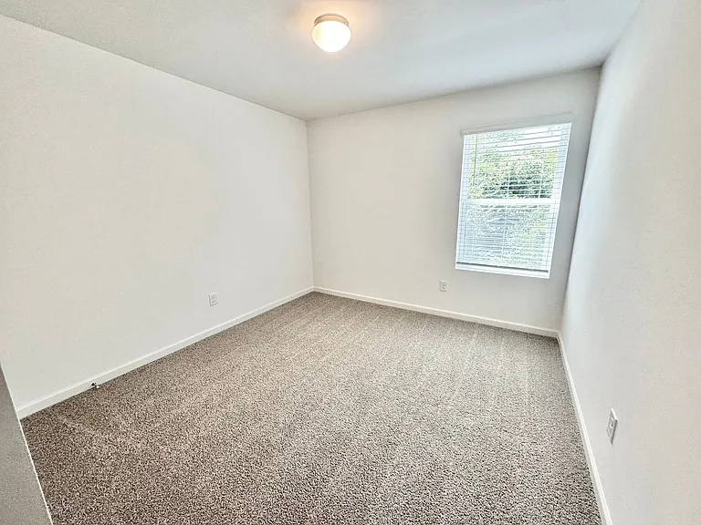 3885 Claret Cup Dr — Photo 20
