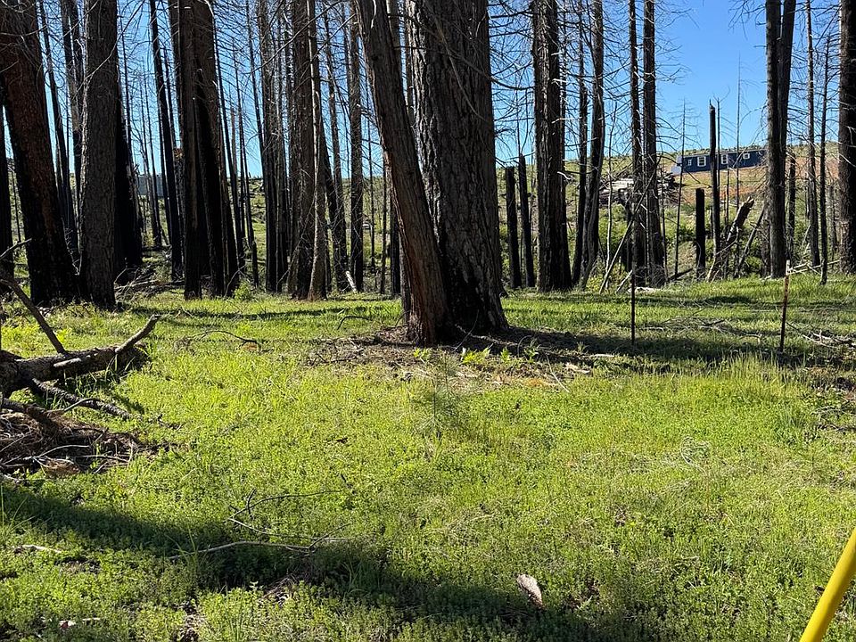 2nd image of 7601 Forest Glen Dr