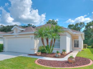 2907 Banyan Hill Ln, Land O Lakes, FL 34639