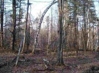 0 William Jones Rd, Petersburg, NY 12138