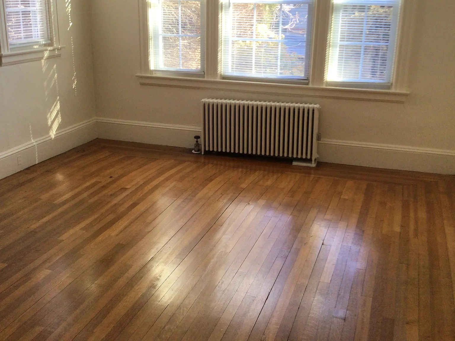 2 bed, 1100 sqft, $2,100 — Photo 3