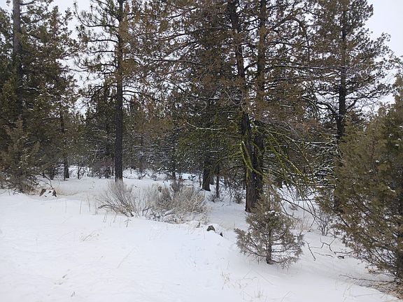 4th image of LOT 3100 Warbler Dr