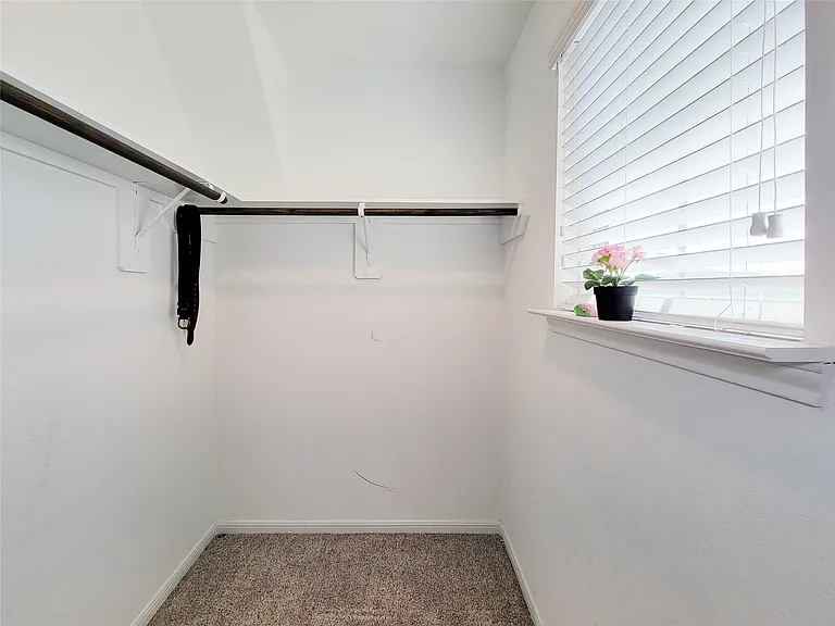 8003 Ecru Ln — Photo 38