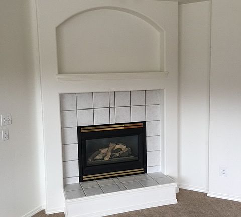 Gas fireplace
