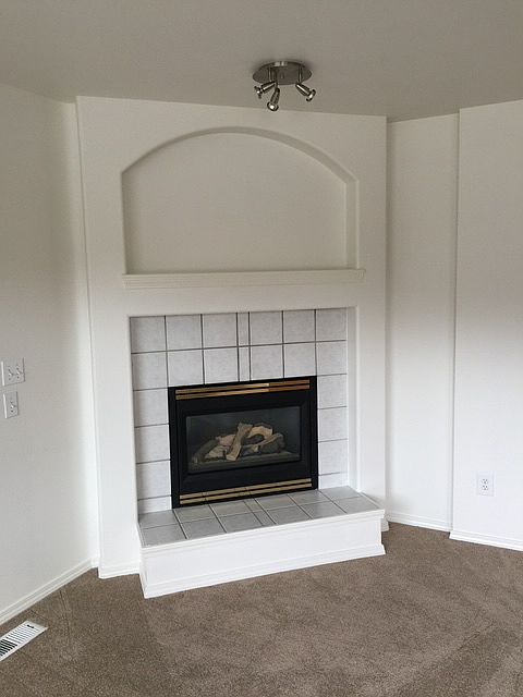 Gas fireplace