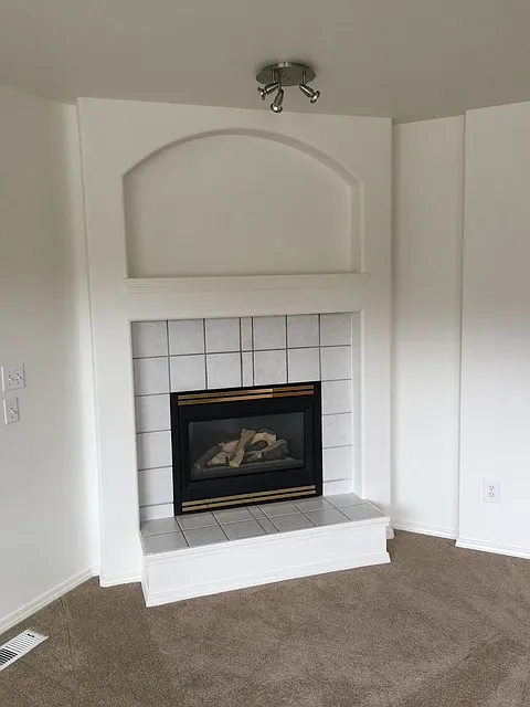 Gas fireplace