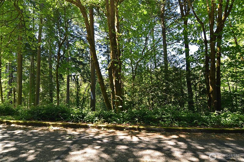 2nd image of 2427 Archwood Drive