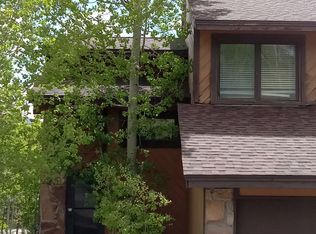 252 Poplar Cir, Silverthorne, CO 80498