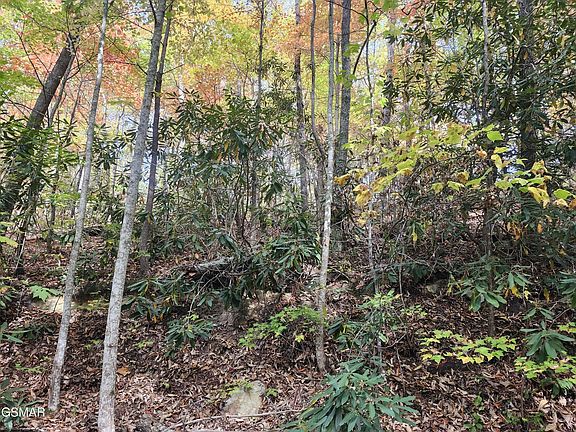 2nd image of 11 Bluff Mtn. Rd.