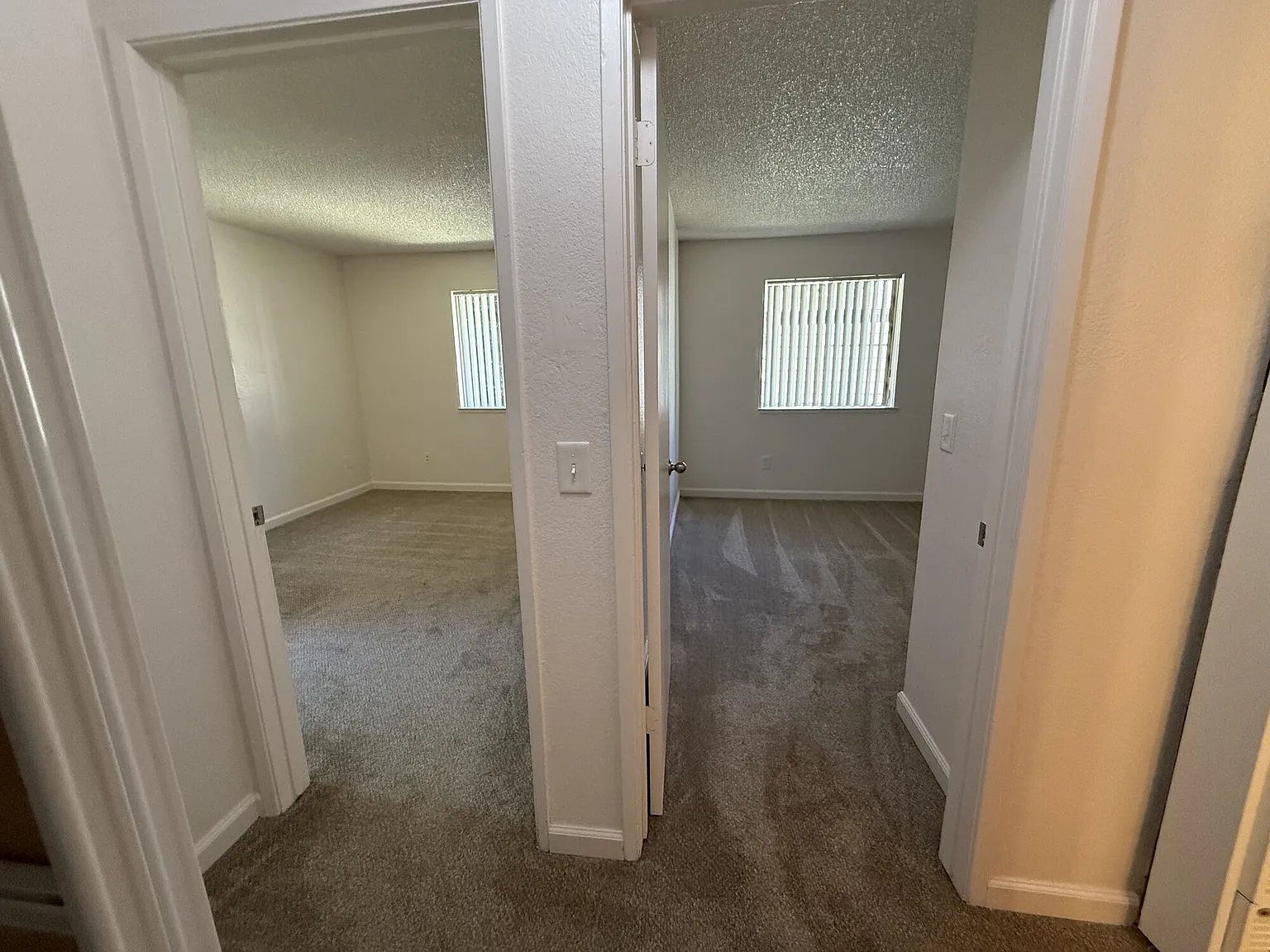 Shasta Terrace — Photo 4