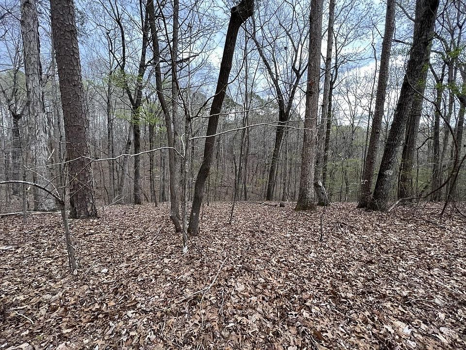 2nd image of 0 Lake Bluff Path