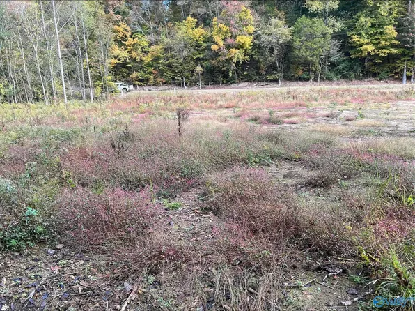 1 Cairo Hollow Rd, Athens, AL 35614