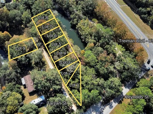 Tarzan St Lot 12, Dade City, FL 33523