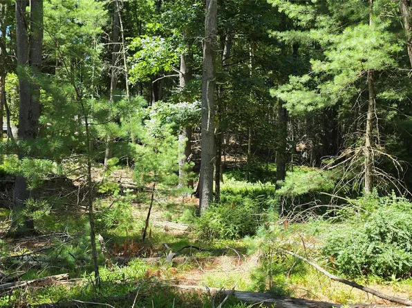 Lot # 7 Irishtown Road, Narrowsburg, NY 12764