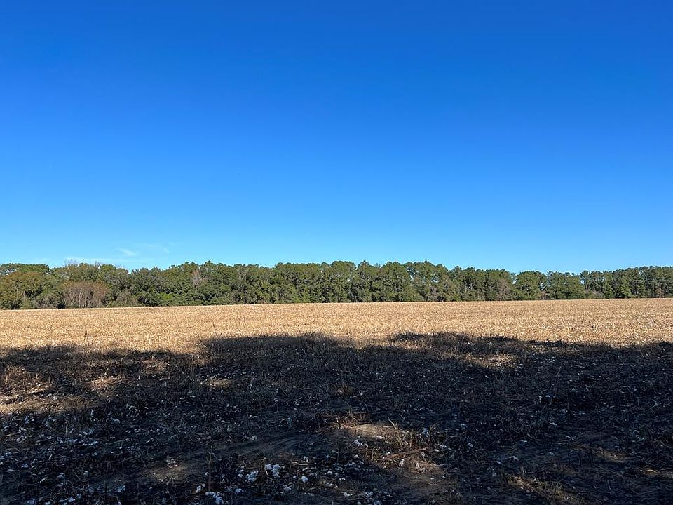 0 Pine Park Rd, Cairo, GA 39828 Zillow