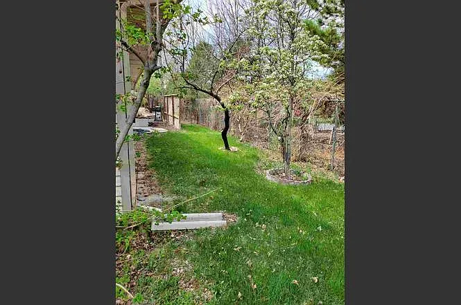 3176 Torrey's Peak, Unit B Grand Junction, CO 81504 — Photo 4