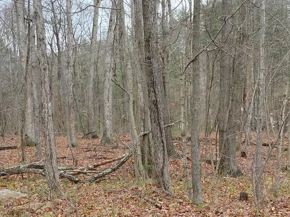 Shadoe Hollow Rd NE, Cumberland, MD 21502