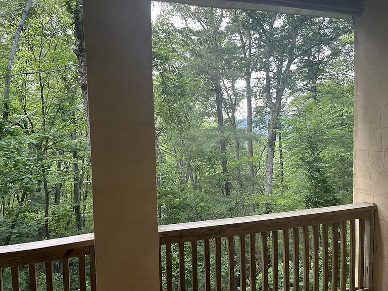 40 Mary Wendy Rd #2 — Photo 20