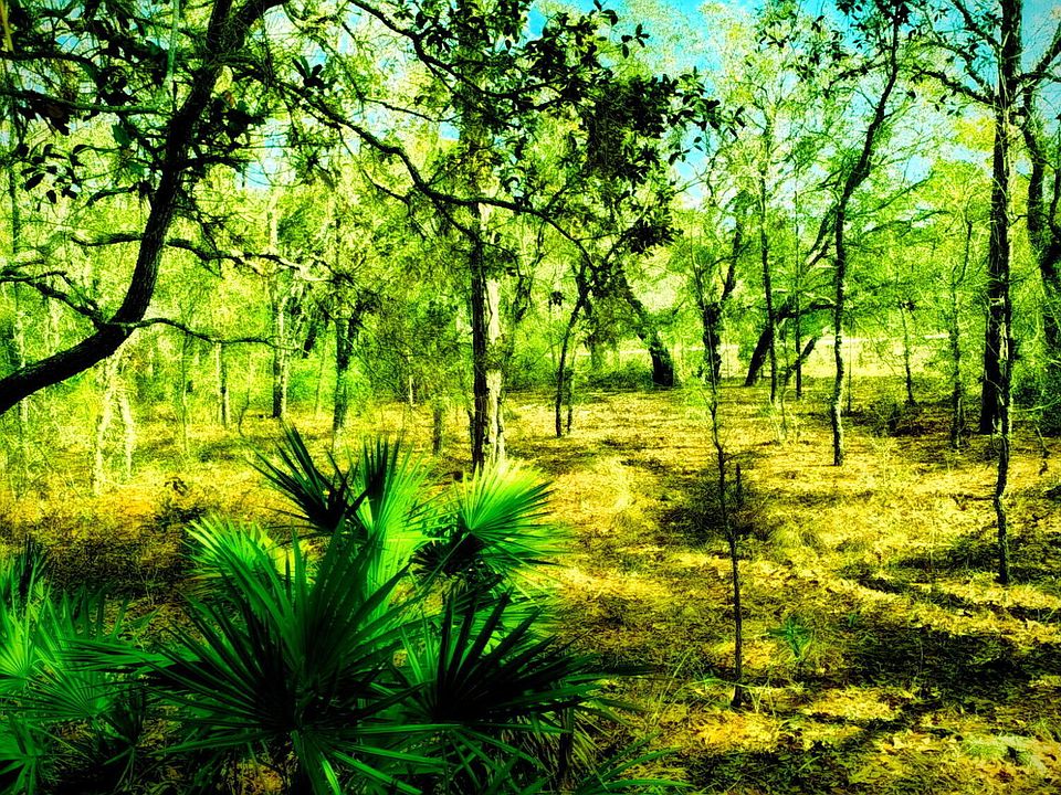 1st image of LOT 1 Robin Ave