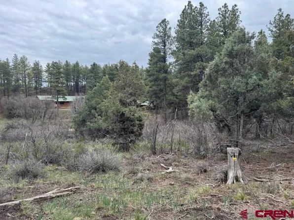 512 & 564 Jack Rabbit Road, Pagosa Springs, CO 81147