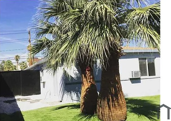 2 bed, 600 sqft, $1,500 — Photo 3
