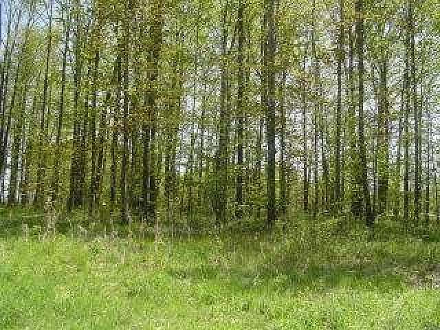 2nd image of 2379 Maple Branch Rd