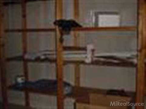 3rd image of 17122 Kingsbrooke Dr