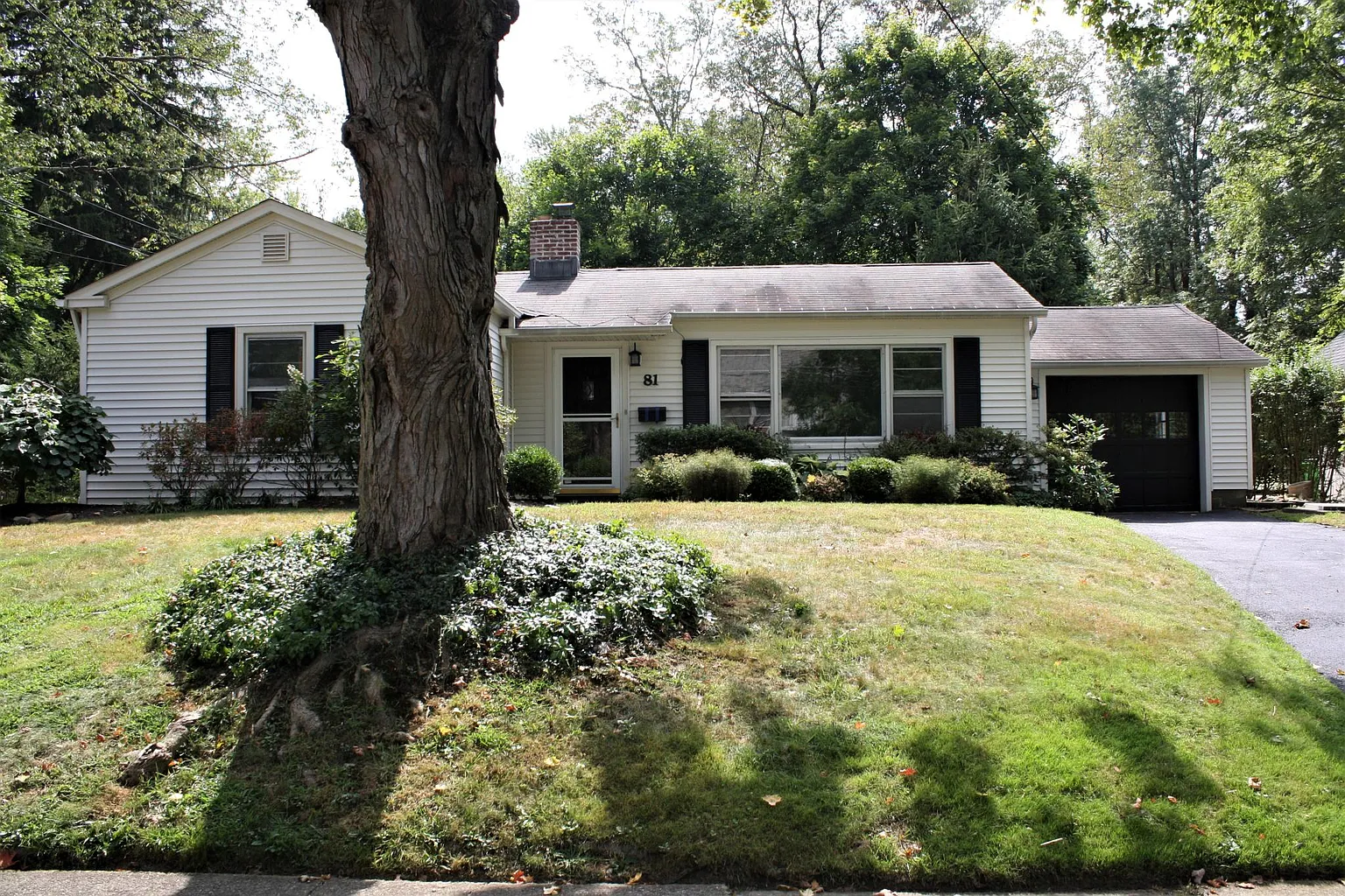 81 Olive St photo 1